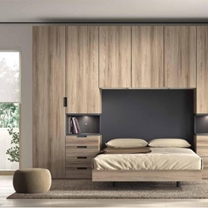 FORMAS-310